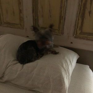 Meet your Posher, Jami